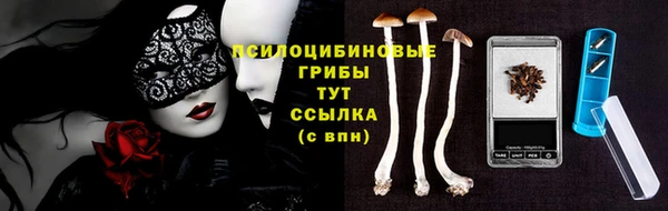 COCAINE Богородск