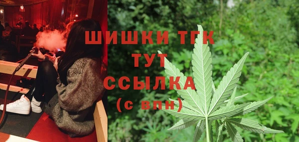 ECSTASY Богородицк