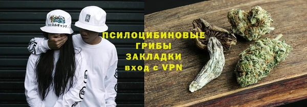 ECSTASY Богородицк