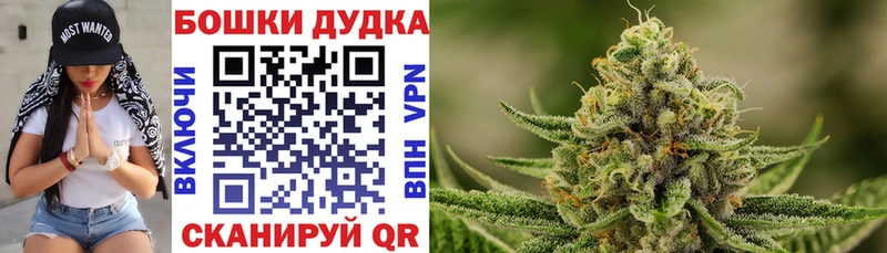 нарко площадка наркотические препараты  Мыски  МАРИХУАНА SATIVA & INDICA 